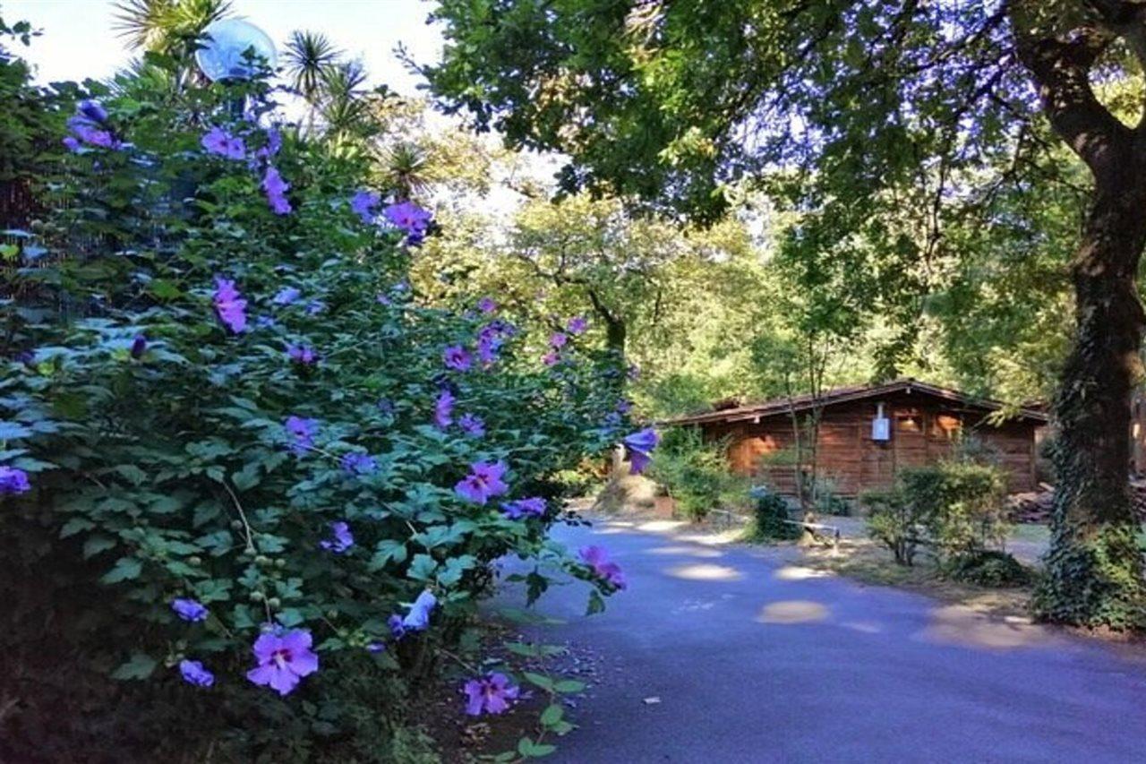 Seven Hills Village Camping Roma